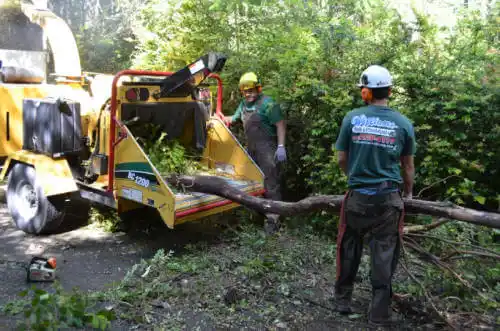 tree services State Center